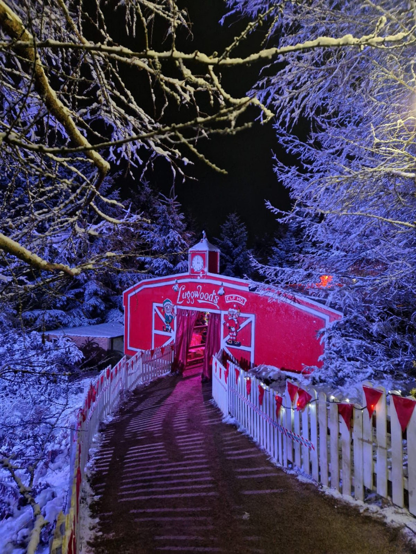 Kalėdos Luggwoods miške Airijoje