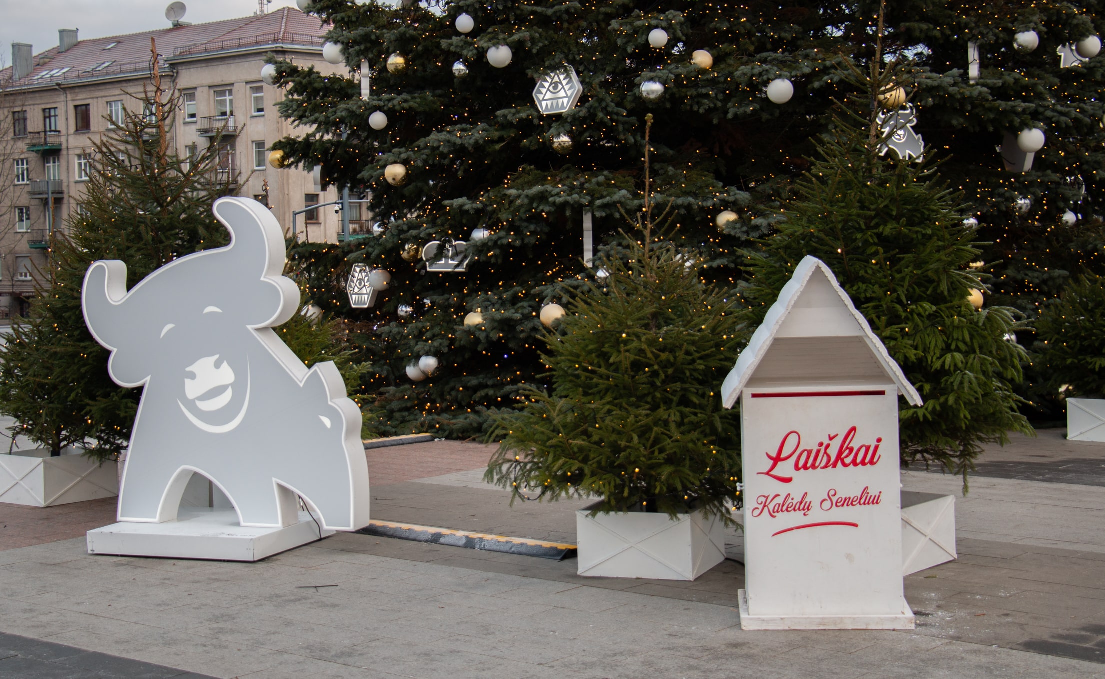 Kalėdos Šiauliuose (nuotraukos autorius Liubov Yarmoshenko)