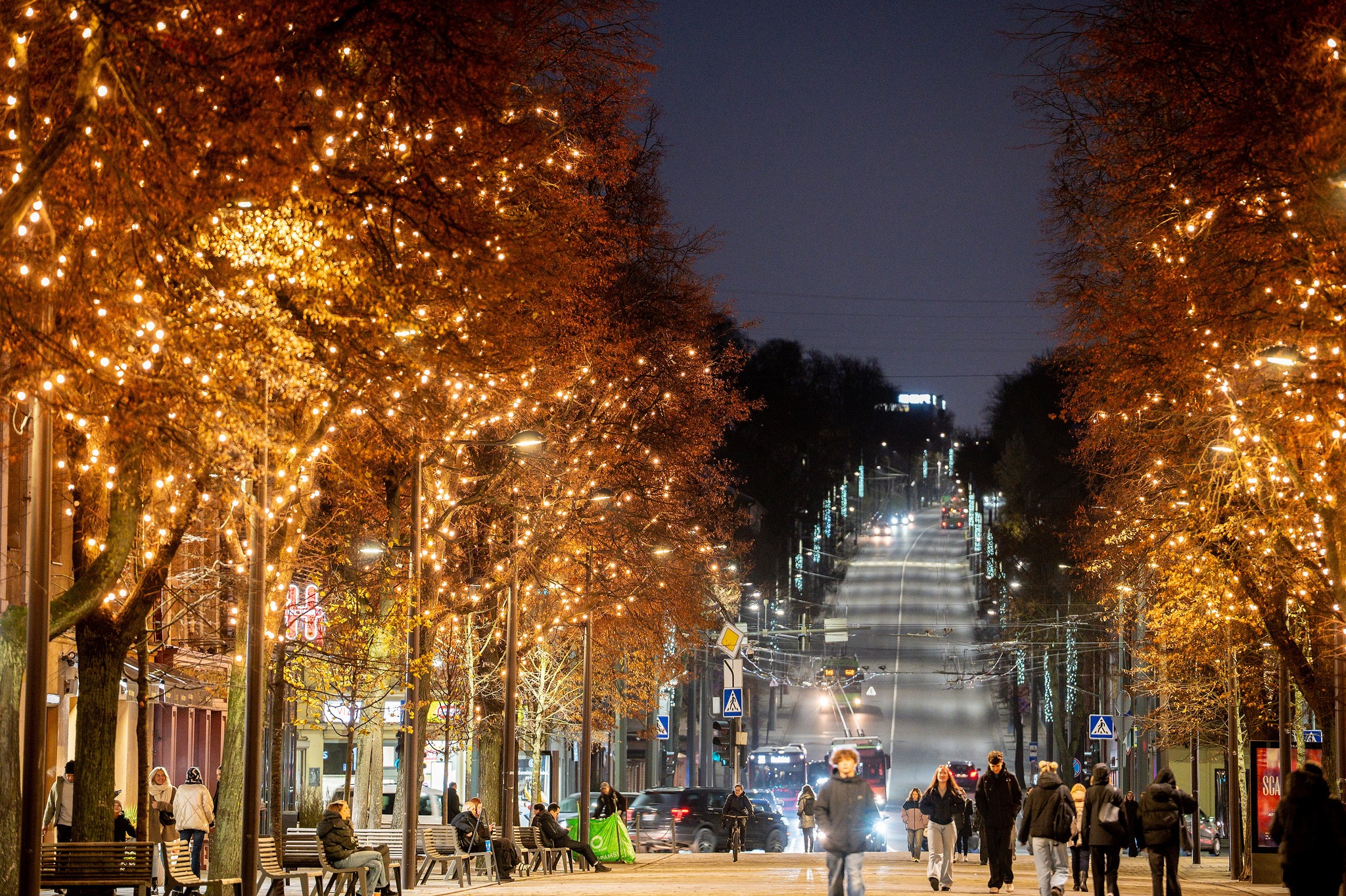 Kaunas ruošiasi Kalėdom (nuotr. Kauno sav.)