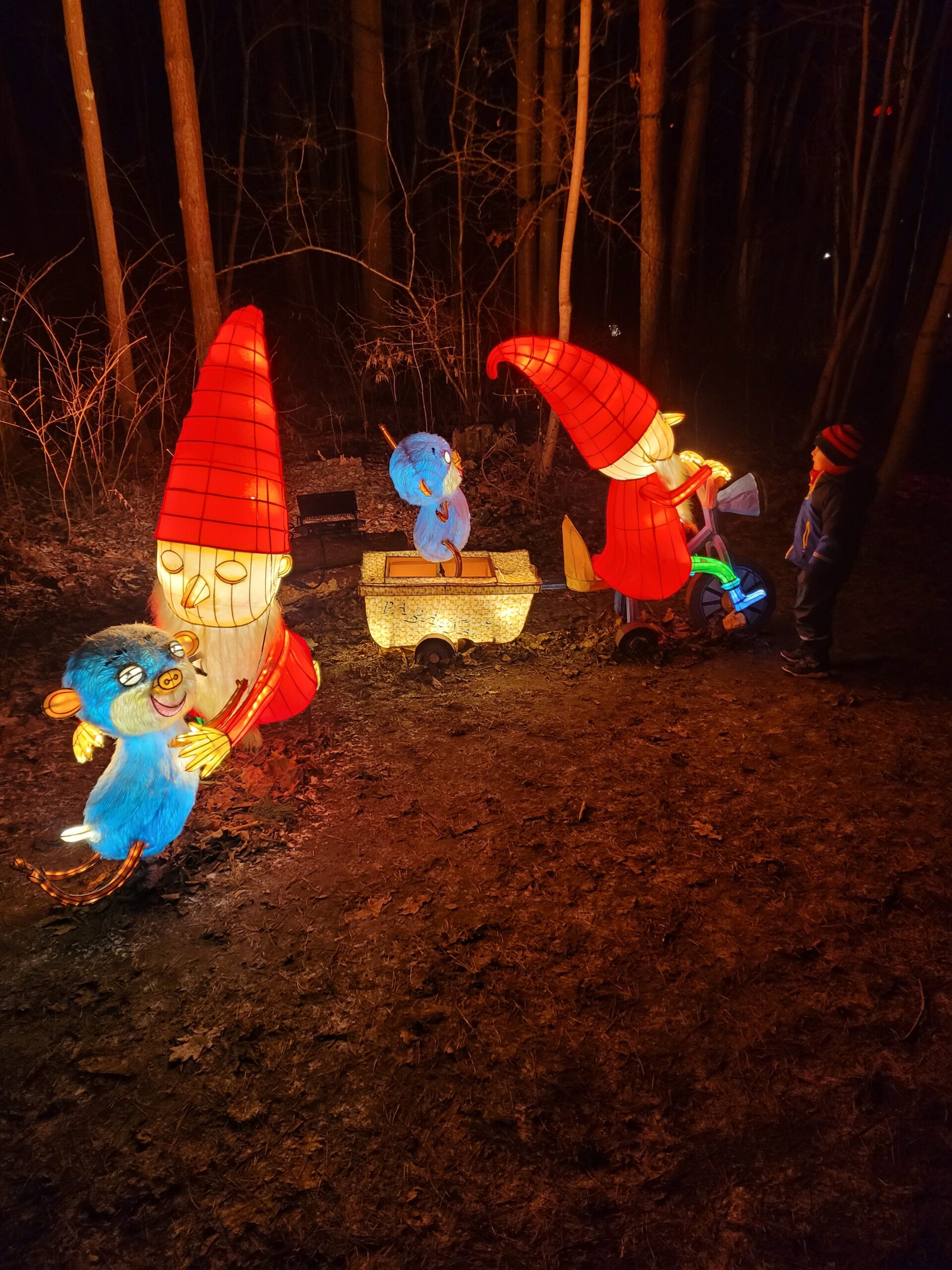 Kakės Makės šviesų parkas