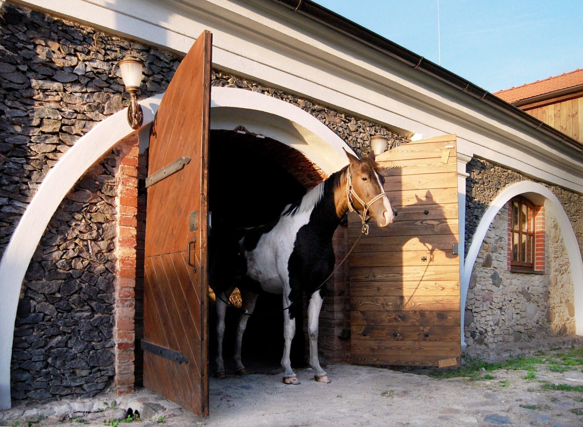 Pakruojo dvaro ūkis