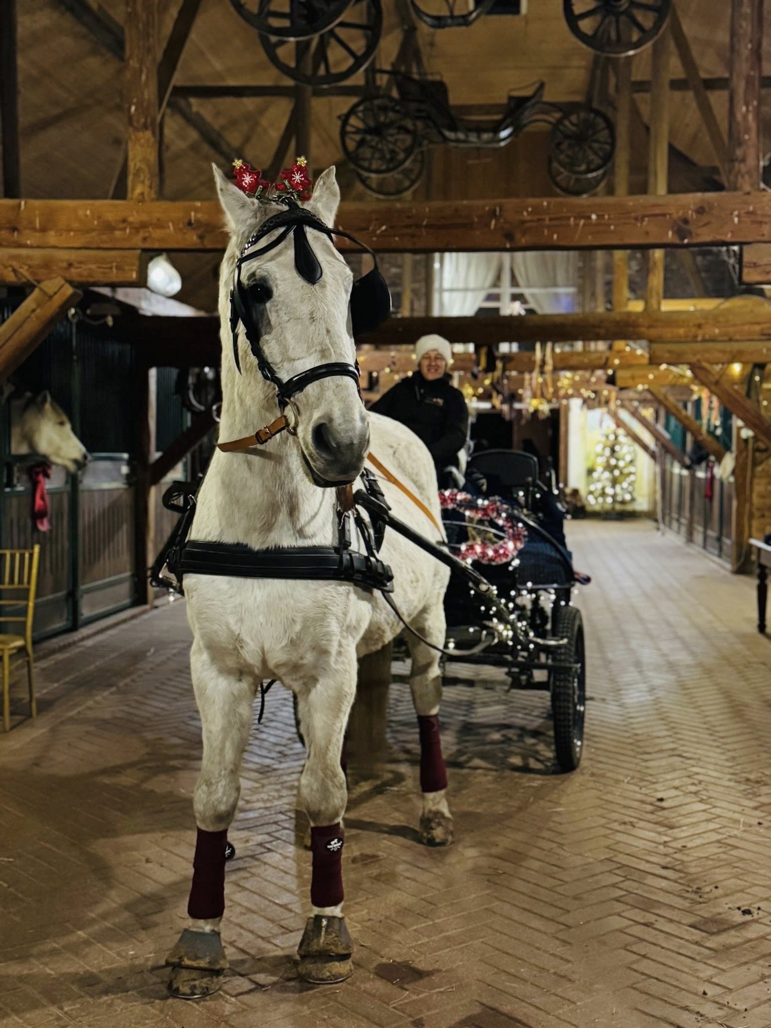 Kalėdos Bistrampolio dvare