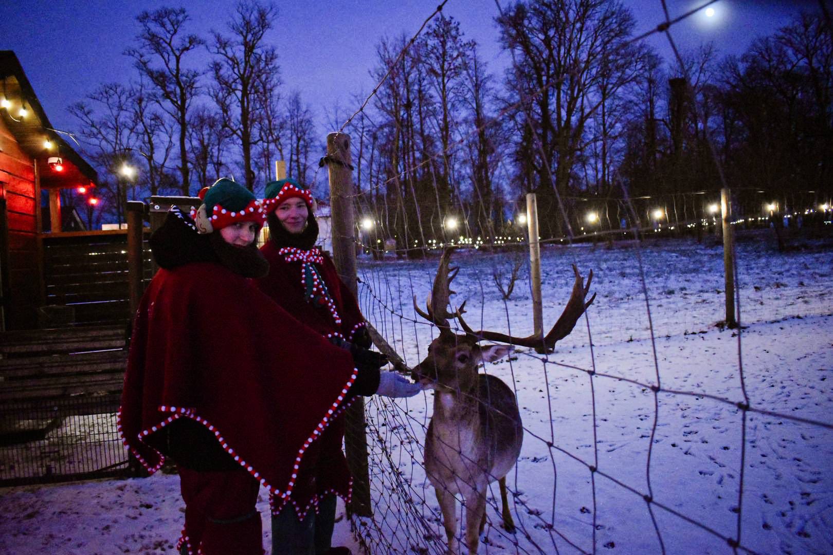 Kalėdos Bistrampolio dvare