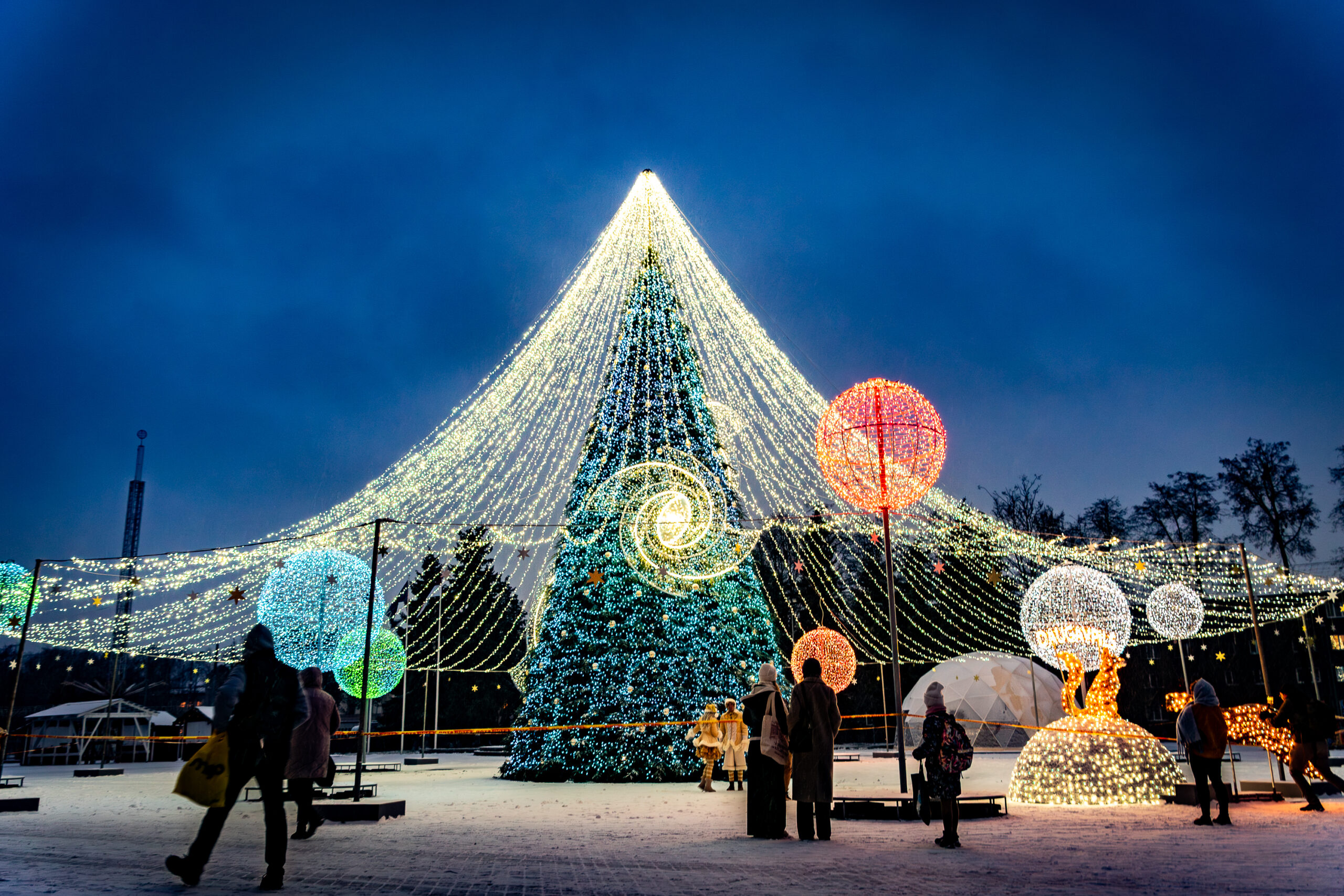 Daugpilio Kalėdų eglė (nuotr. Margarita Vigule)