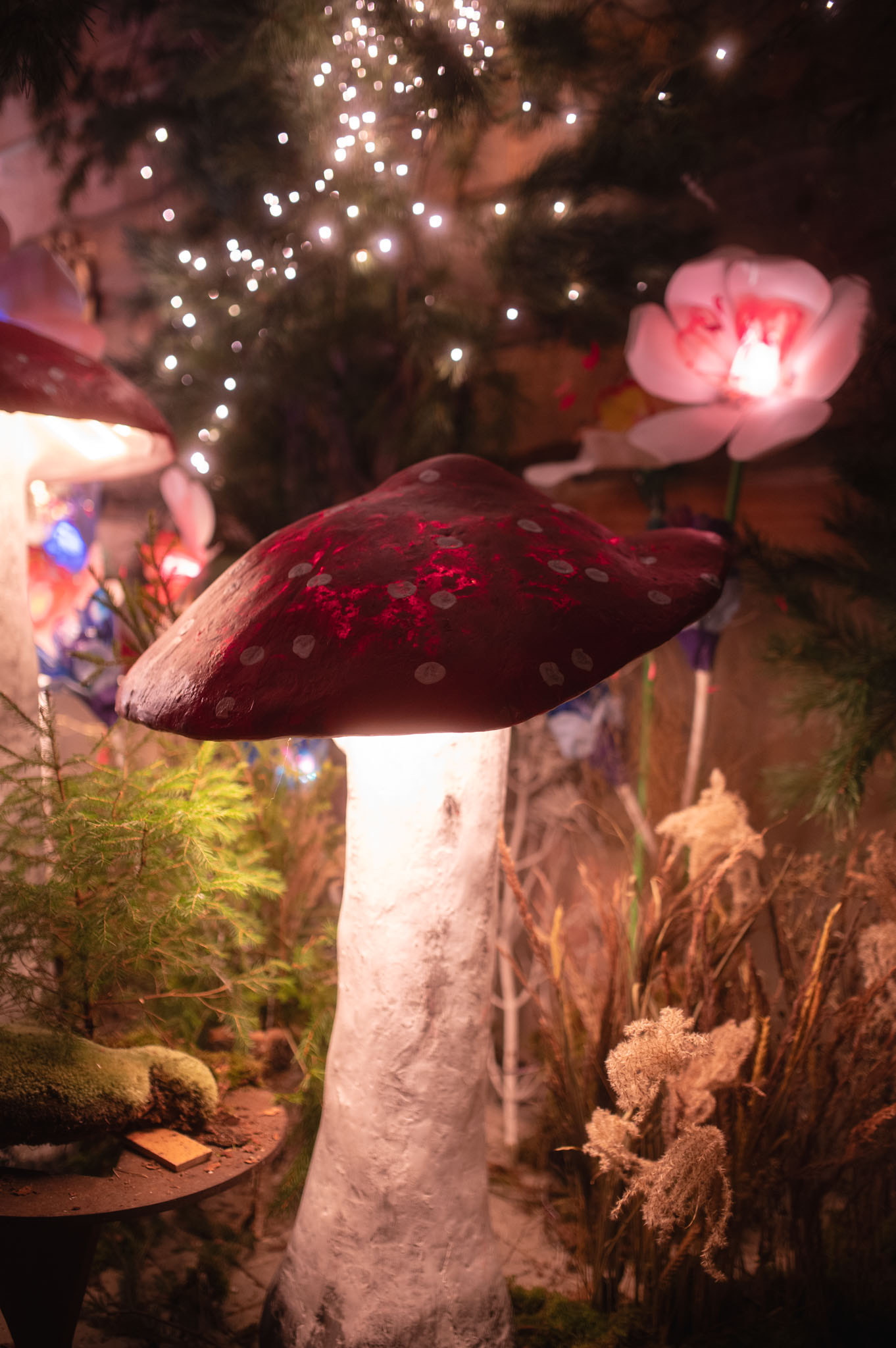 Alisa stebuklų šalyje erdvė Ukmergėje (Dainiaus Vyto ir @foto.Justas St nuotraukos)