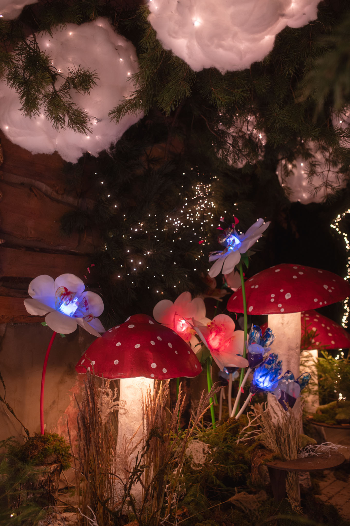 Alisa stebuklų šalyje erdvė Ukmergėje (Dainiaus Vyto ir @foto.Justas St nuotraukos)