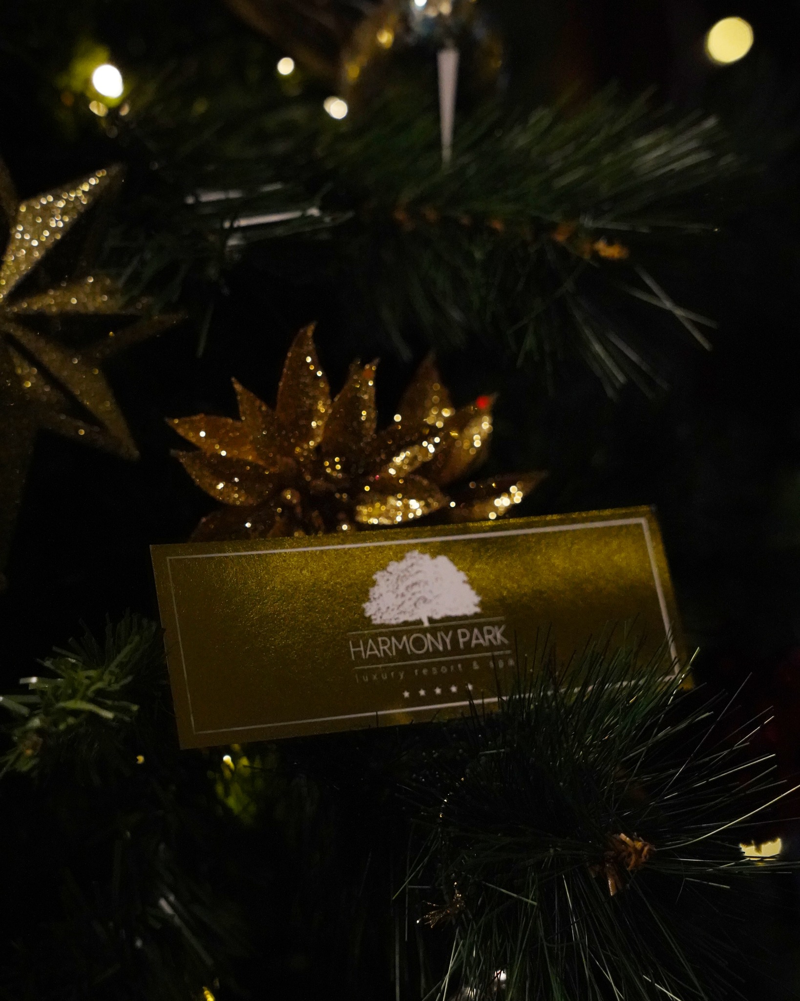 Harmony Park komplekso kalėdinės dovanų idėjos