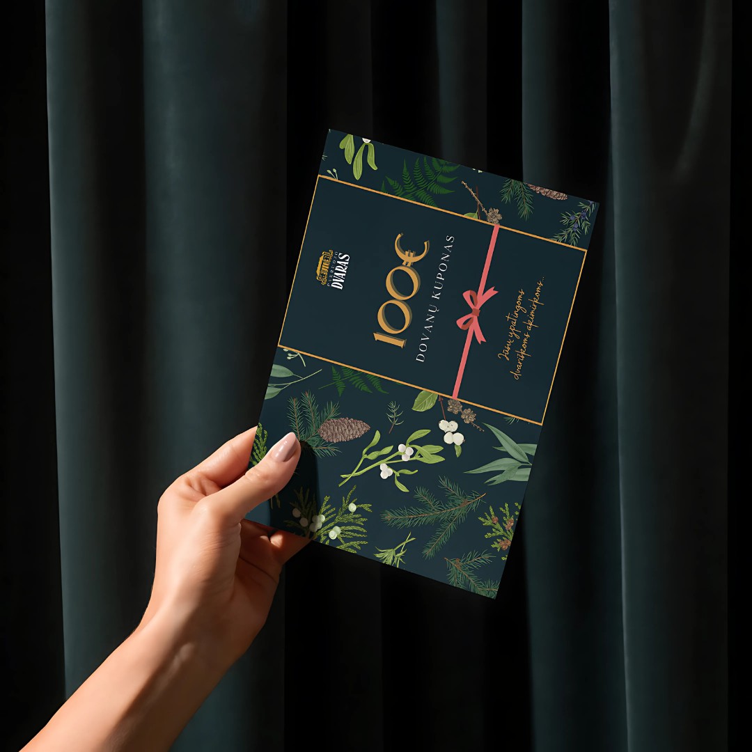 Geriausios Kalėdų dovanos 2025: idėjos, kurios tikrai nudžiugins kiekvieną