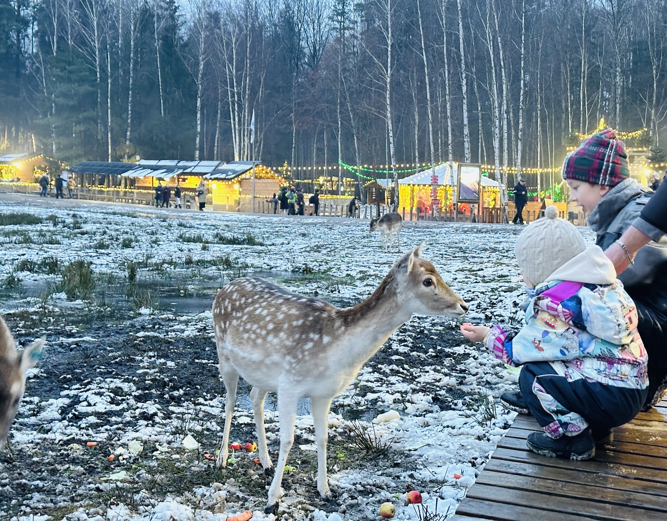 Magiškos Kalėdos Perlinių danielių parke