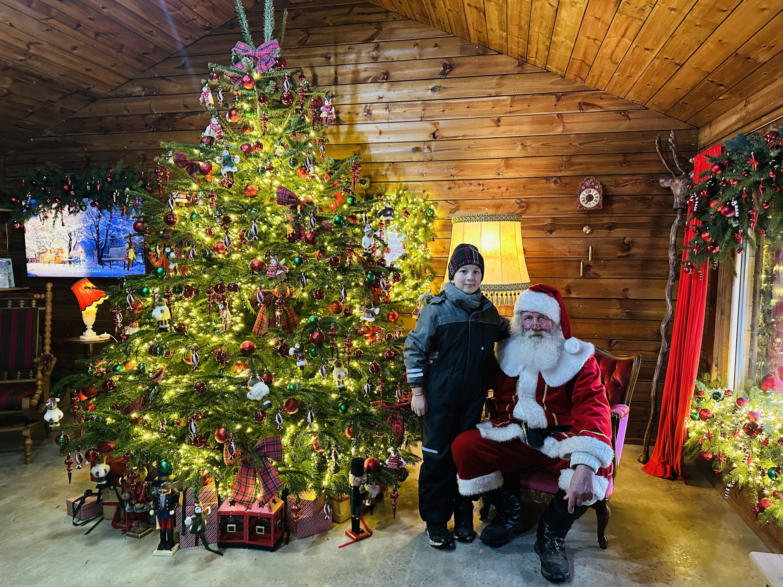 Magiškos Kalėdos Perlinių danielių parke