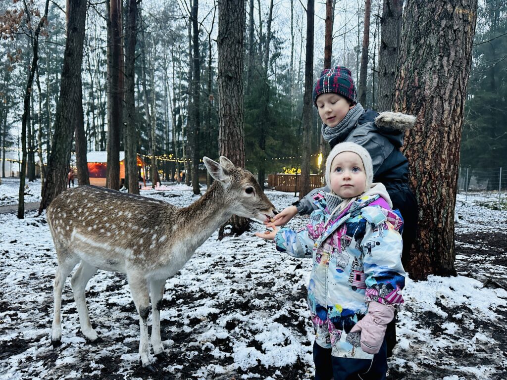 Magiškos Kalėdos Perlinių danielių parke
