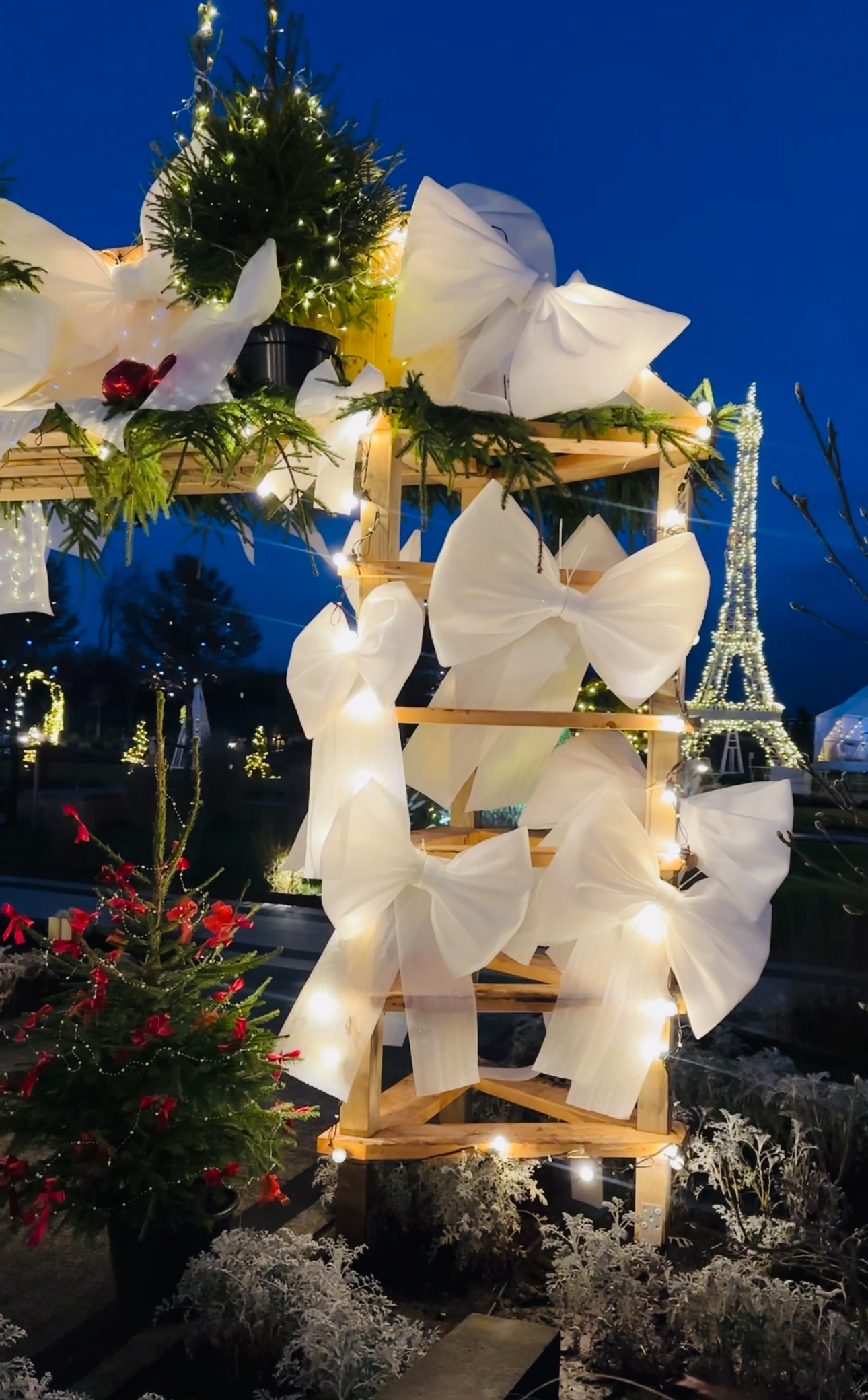 Ką pamatyti Lietuvoje per Kalėdas