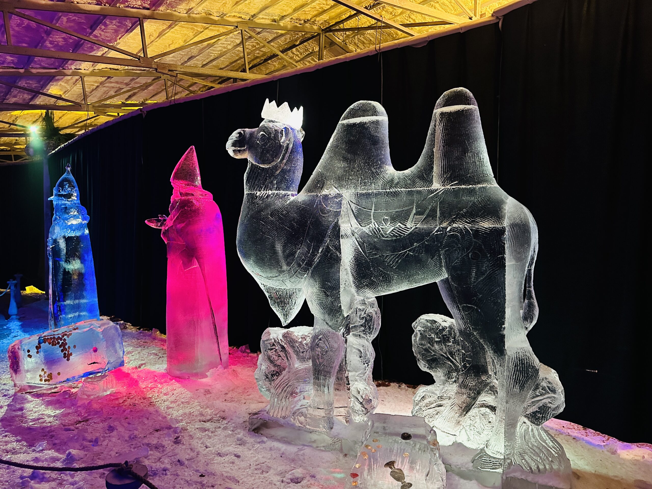 Renginiai Lietuvoje 2026 sausio mėnesį