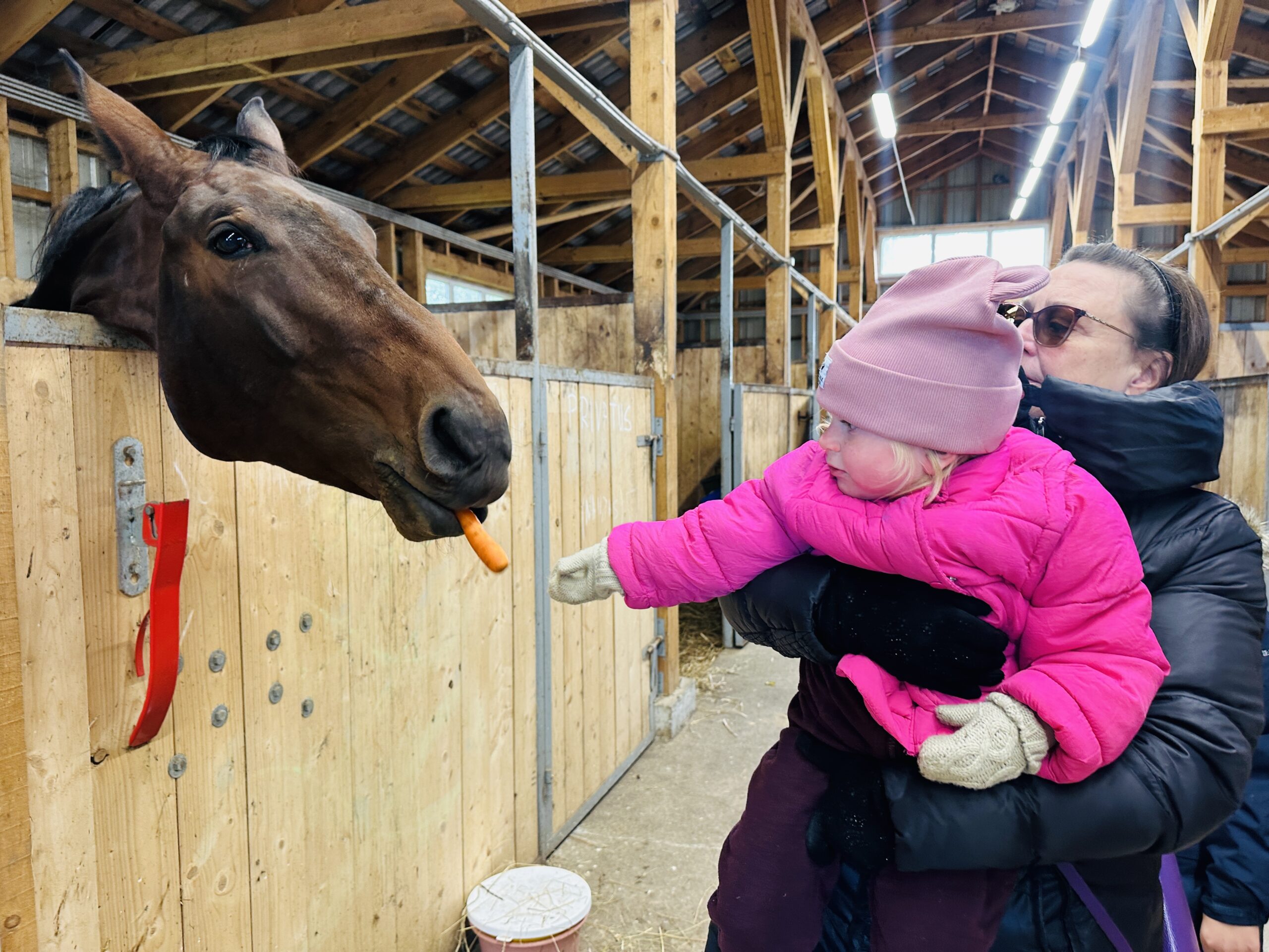 Miestas Lietuvoje, kuris nustebino ir sužavėjo: Rietavas su vaikais
