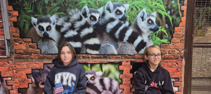 Kontaktinis zoologijos sodas Tenerifėje su vaikais