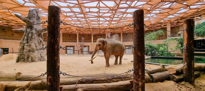 Lodzės zoologijos sodas su vaikais