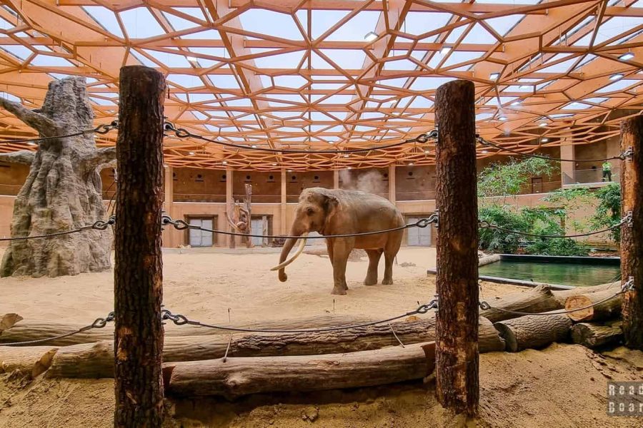 Lodzės zoologijos sodas su vaikais