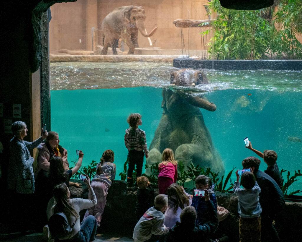 Lodzės zoologijos sodas su vaikais