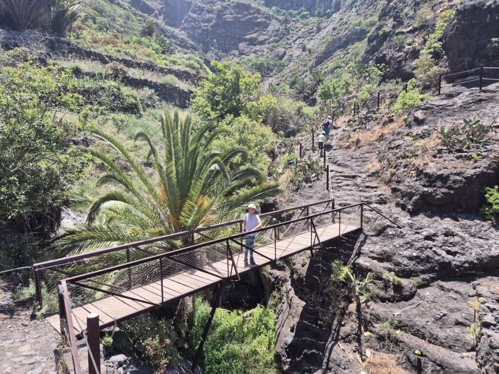 Viskas apie Masca žygį Tenerifėje: įspūdžiai, patarimai ir praktinė informacija