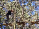 Forestal Park