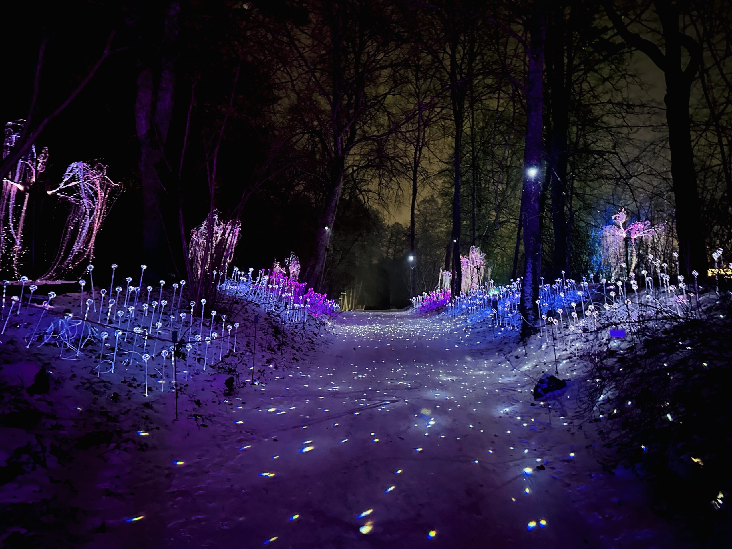 Lumina parkas darbo laikas