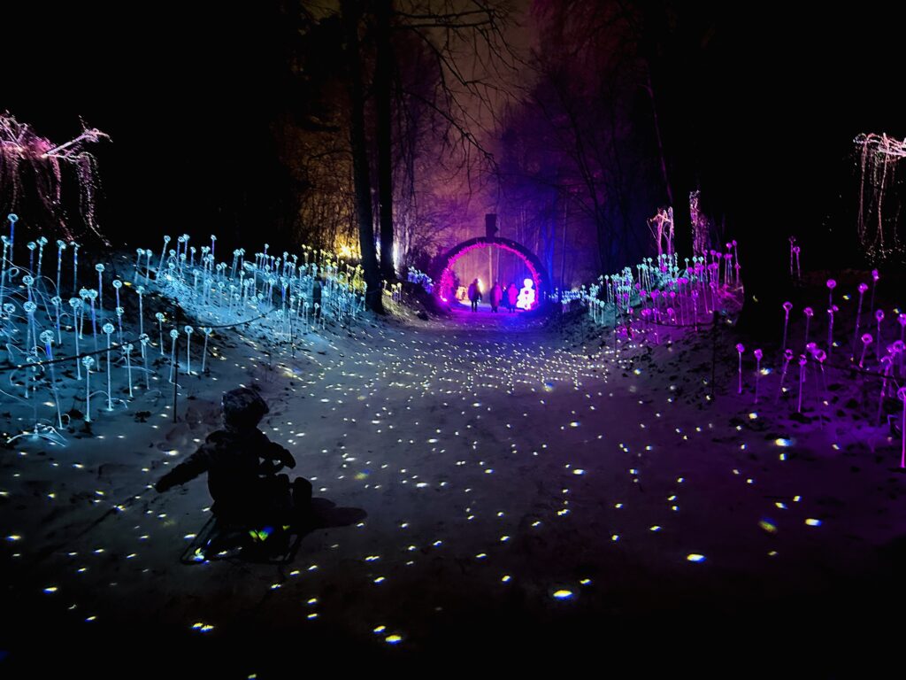 Šviesų parkas Vilniaus botanikos sode žiemą