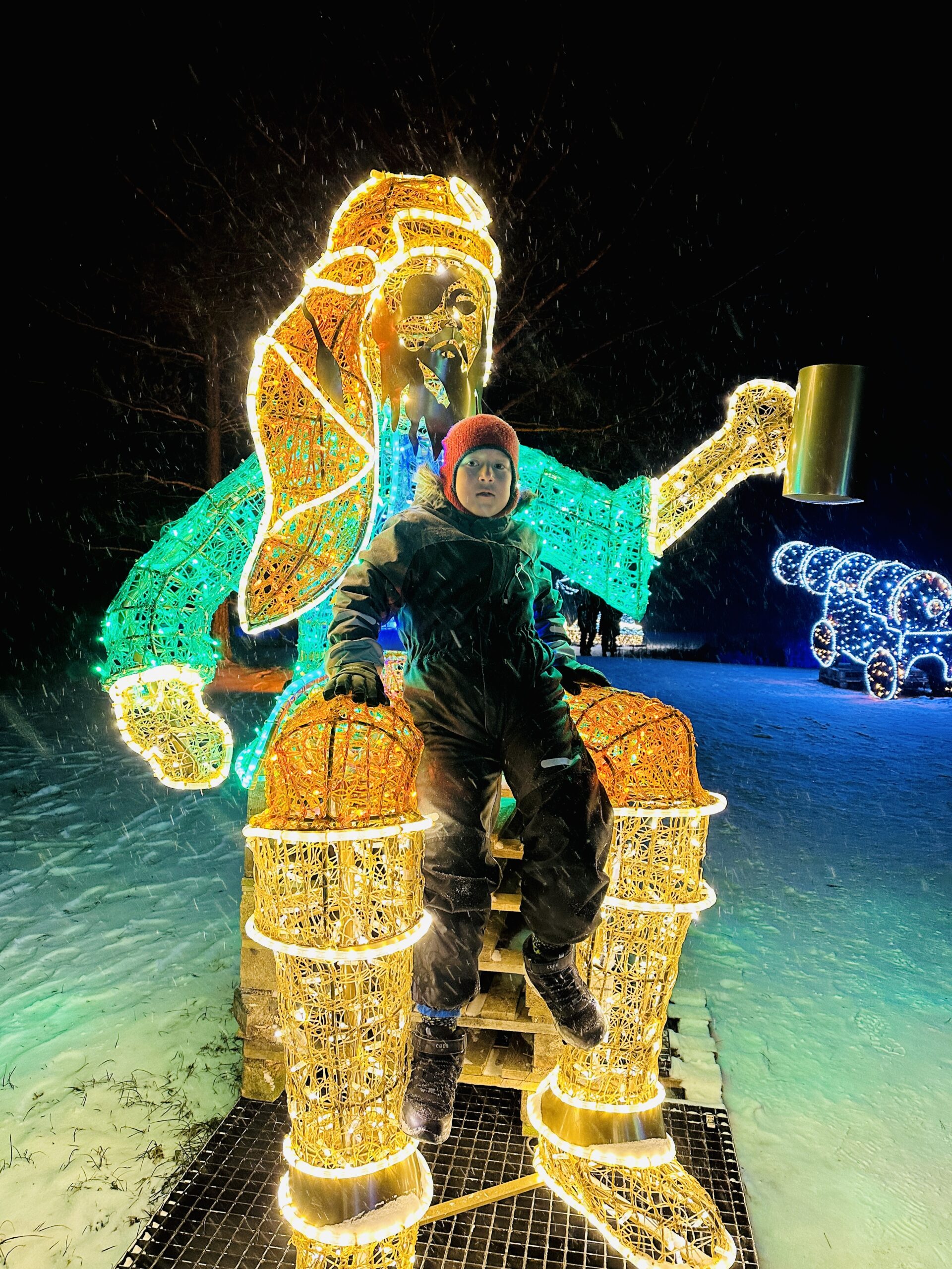 Vilniaus botanikos sodas virto žiemos pasaka: šviesų parkas čia pranoko lūkesčius