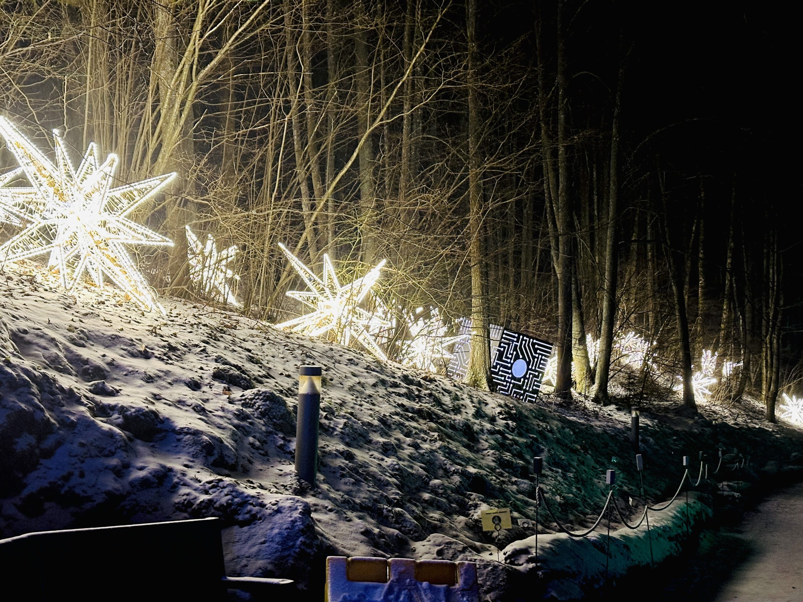 Šviesų parkas Vilniaus botanikos sode žiemą