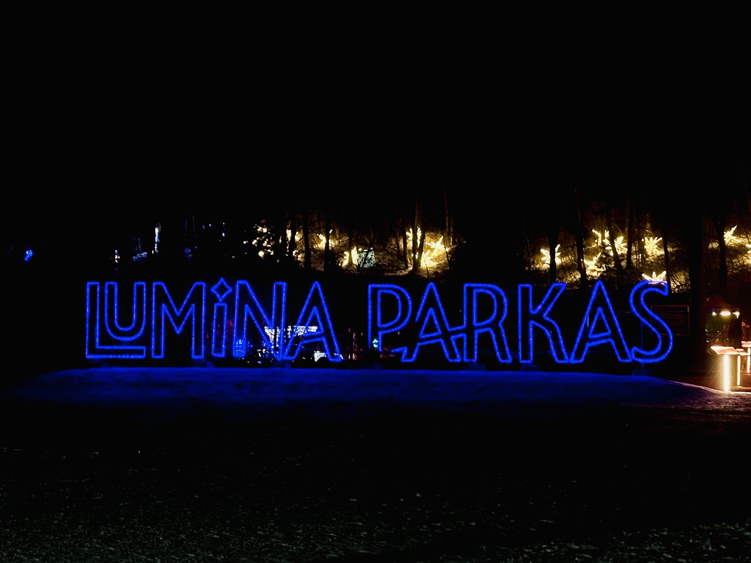 Šviesų parkas Vilniaus botanikos sode žiemą