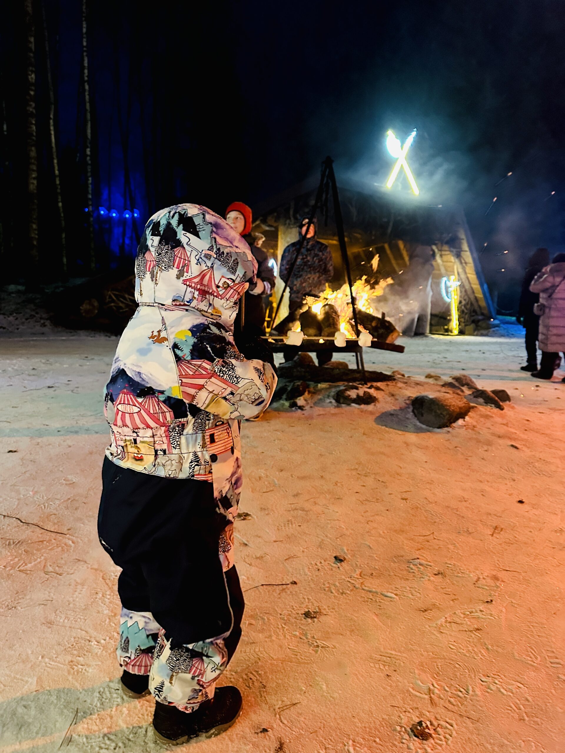 Vilniaus botanikos sodas virto žiemos pasaka: šviesų parkas čia pranoko lūkesčius