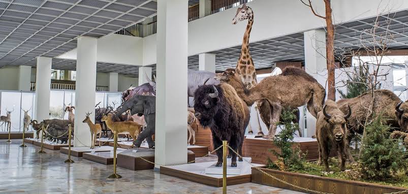 Nemokamas Kauno muziejų lankymas 2026 metais