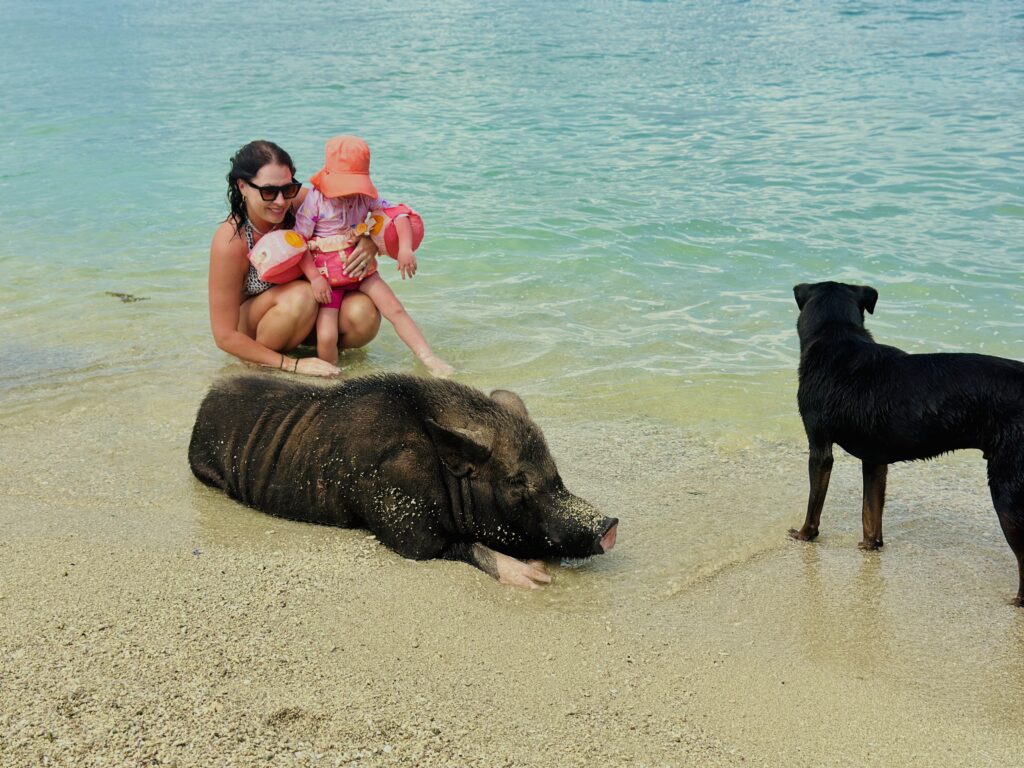 Koh Mad Sum Kiaulių sala Tailande