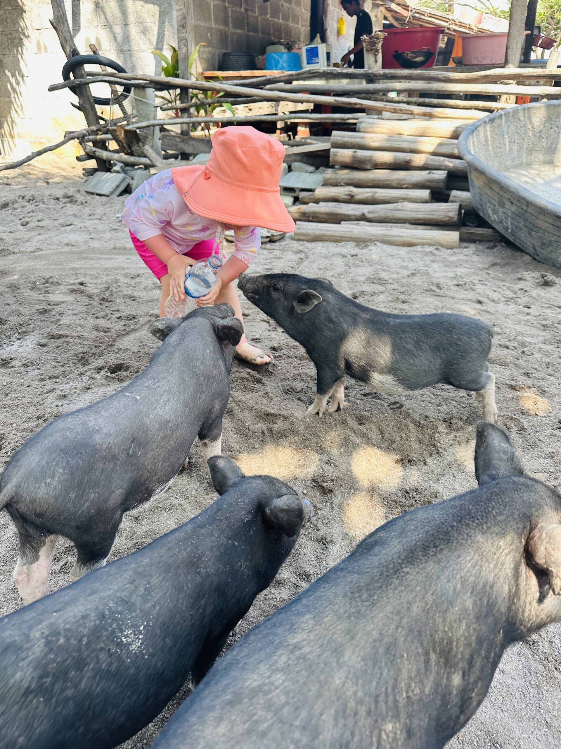 Koh Mad Sum Kiaulių sala Tailande