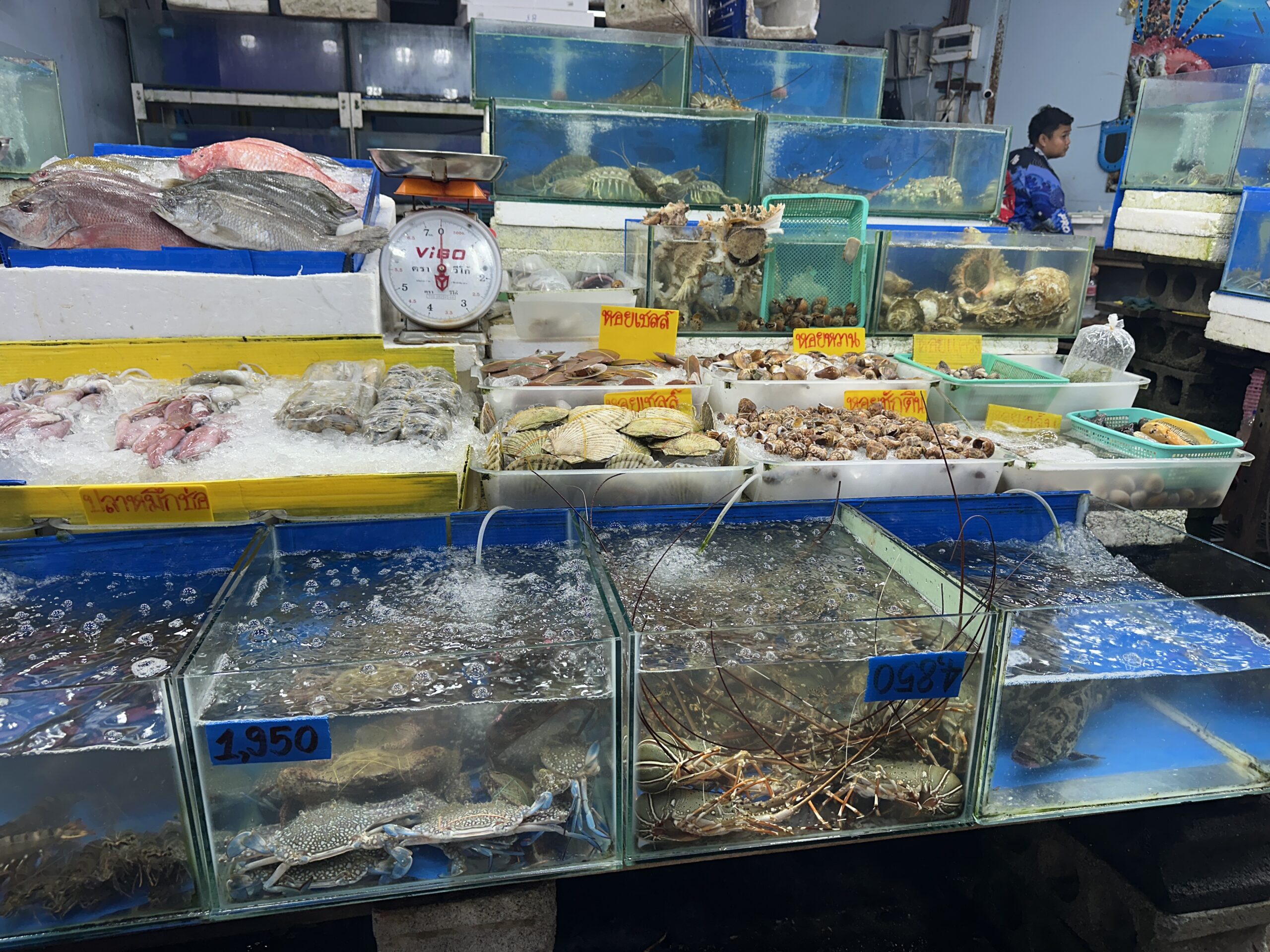 Žuvų turgus Rawai Pukete