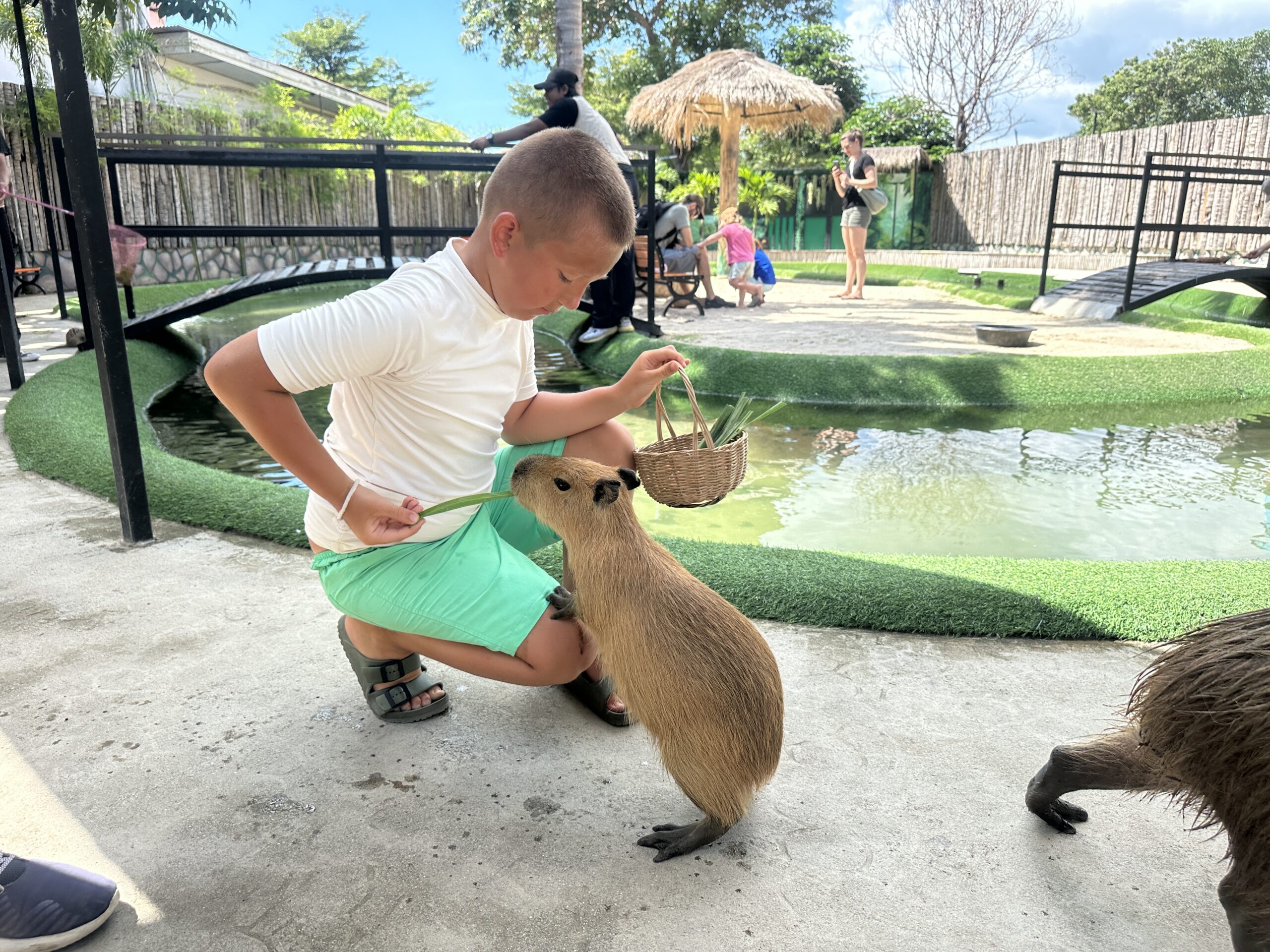 Kelionės į Tailandą su vaikais. Ką pamatyti