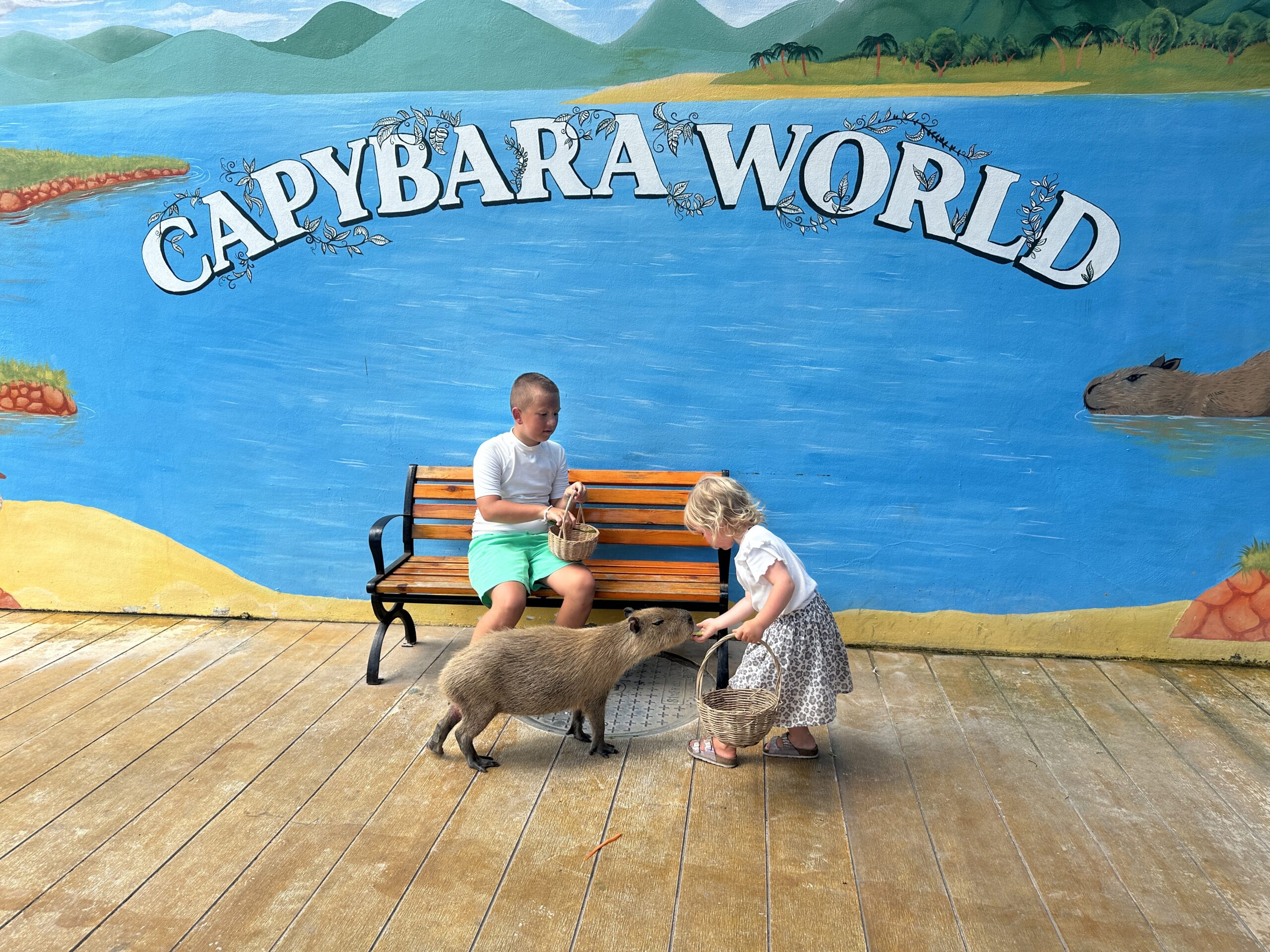Capybara world Kog Samui Tailande