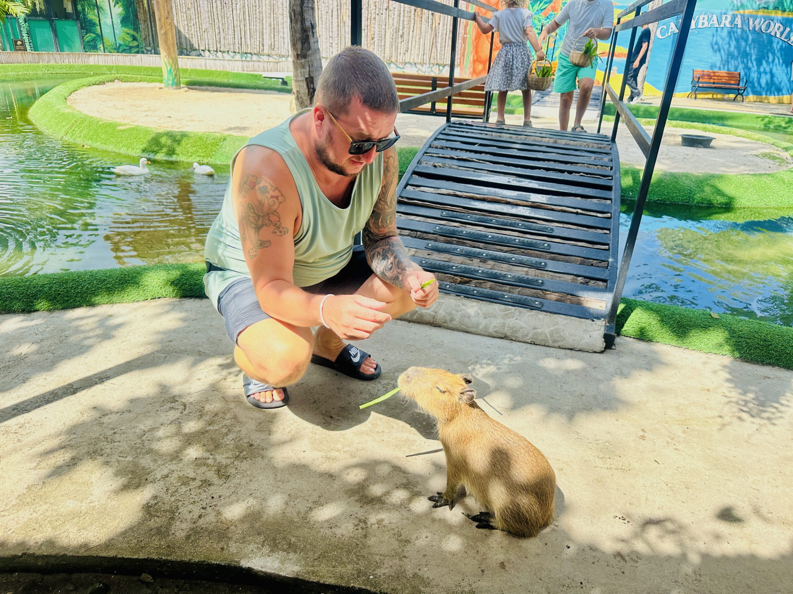 Kur pamatyti kapibaras