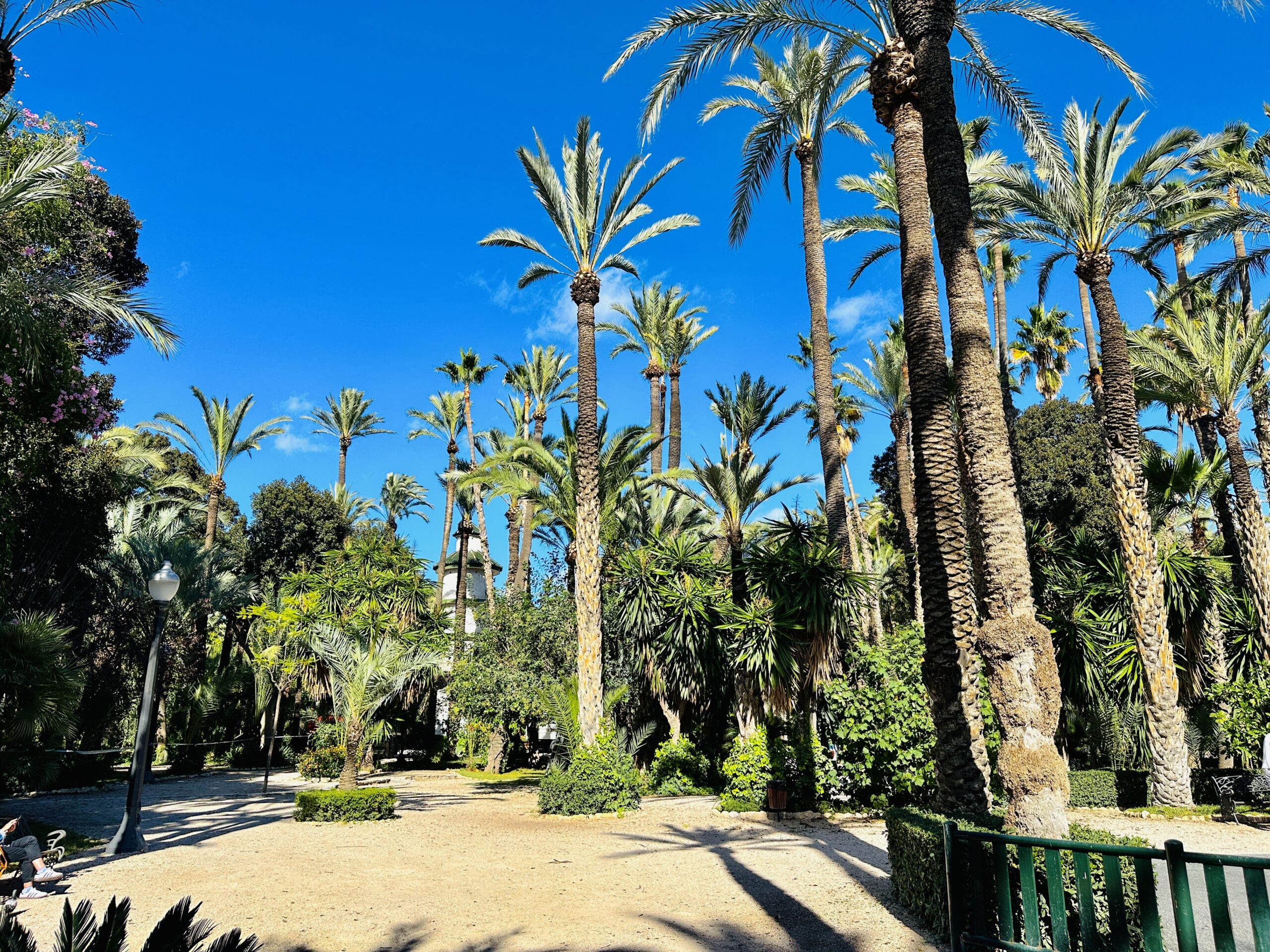 El Palmeral Elčėje