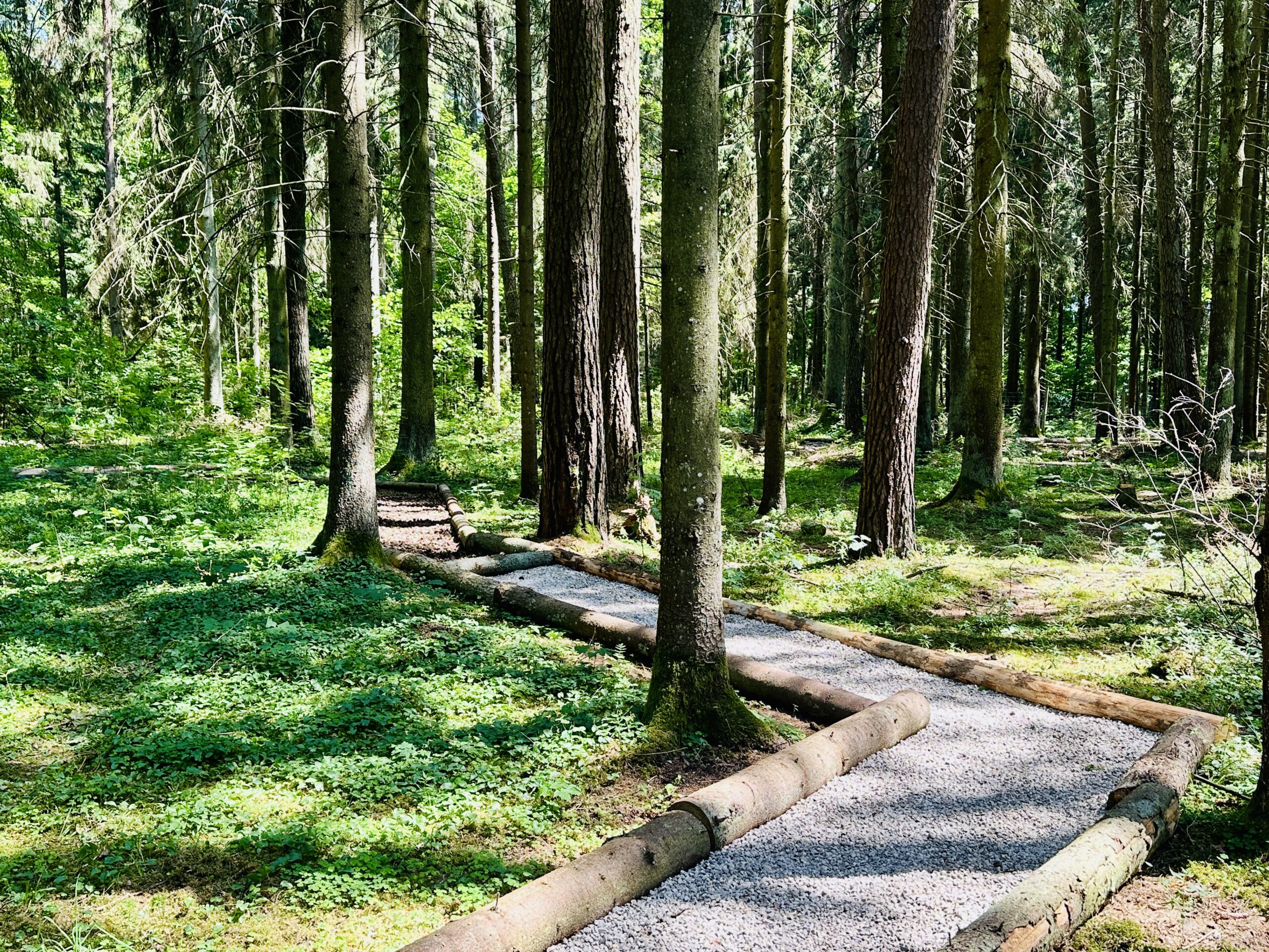 Vienas ilgiausių Lietuvoje basų kojų takų