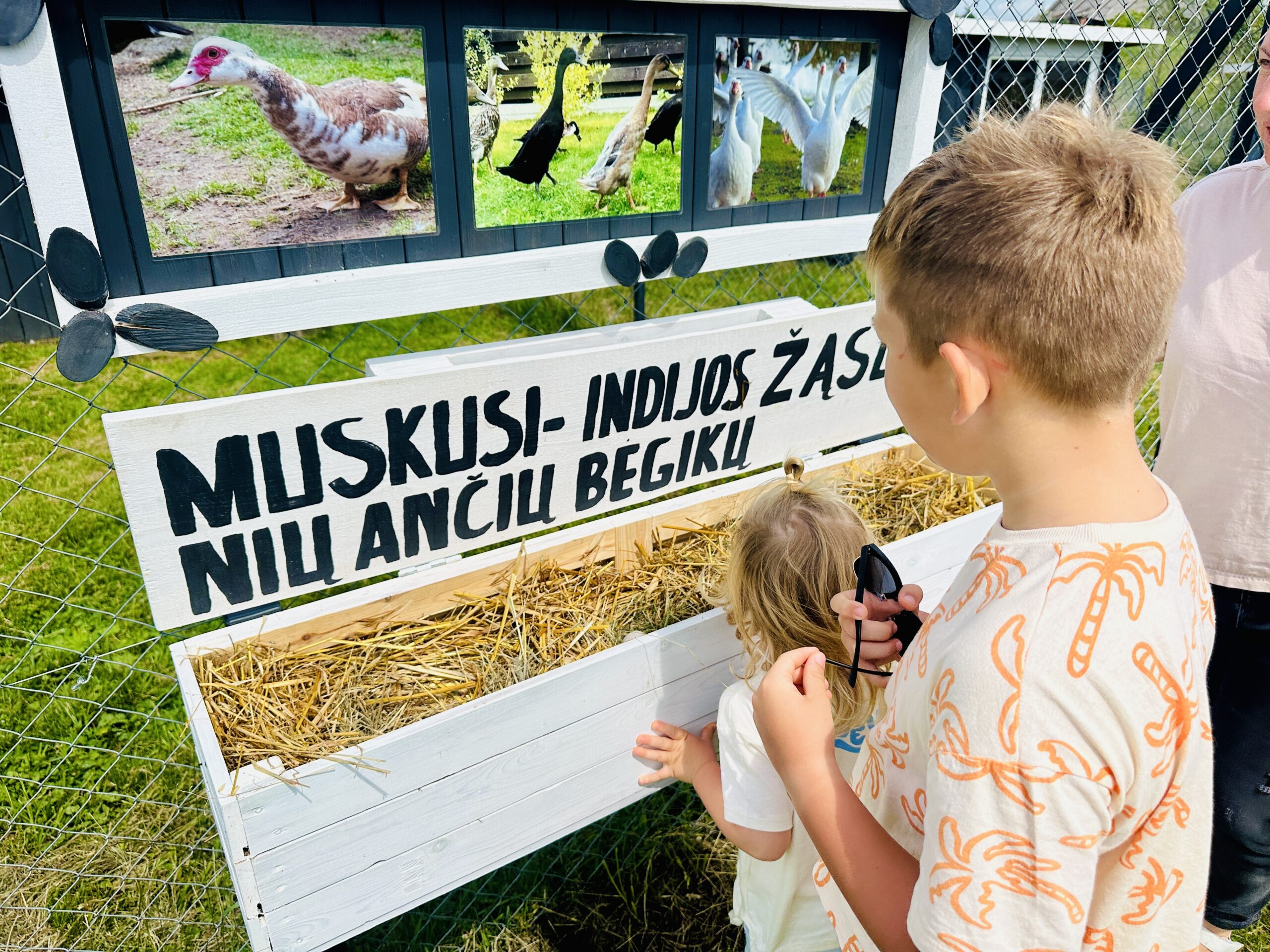 Kur švęsti vaikų gimtadienius gamtoje