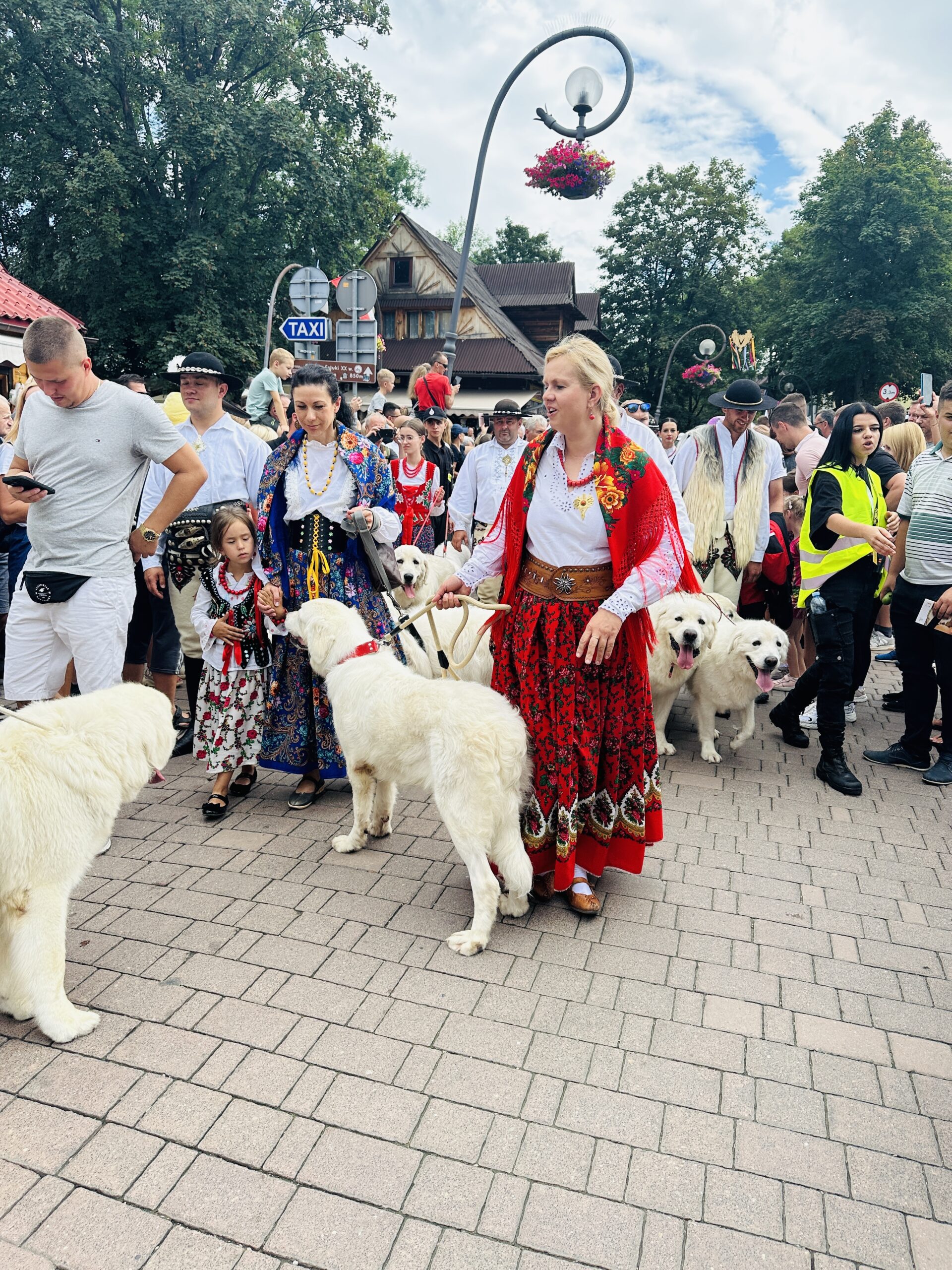 Renginiai Lenkijoje 2026 vasarą