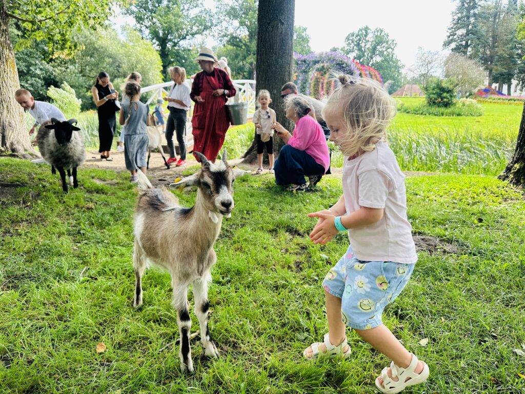 Pakruojo dvare vaikai maitina gyvūnus