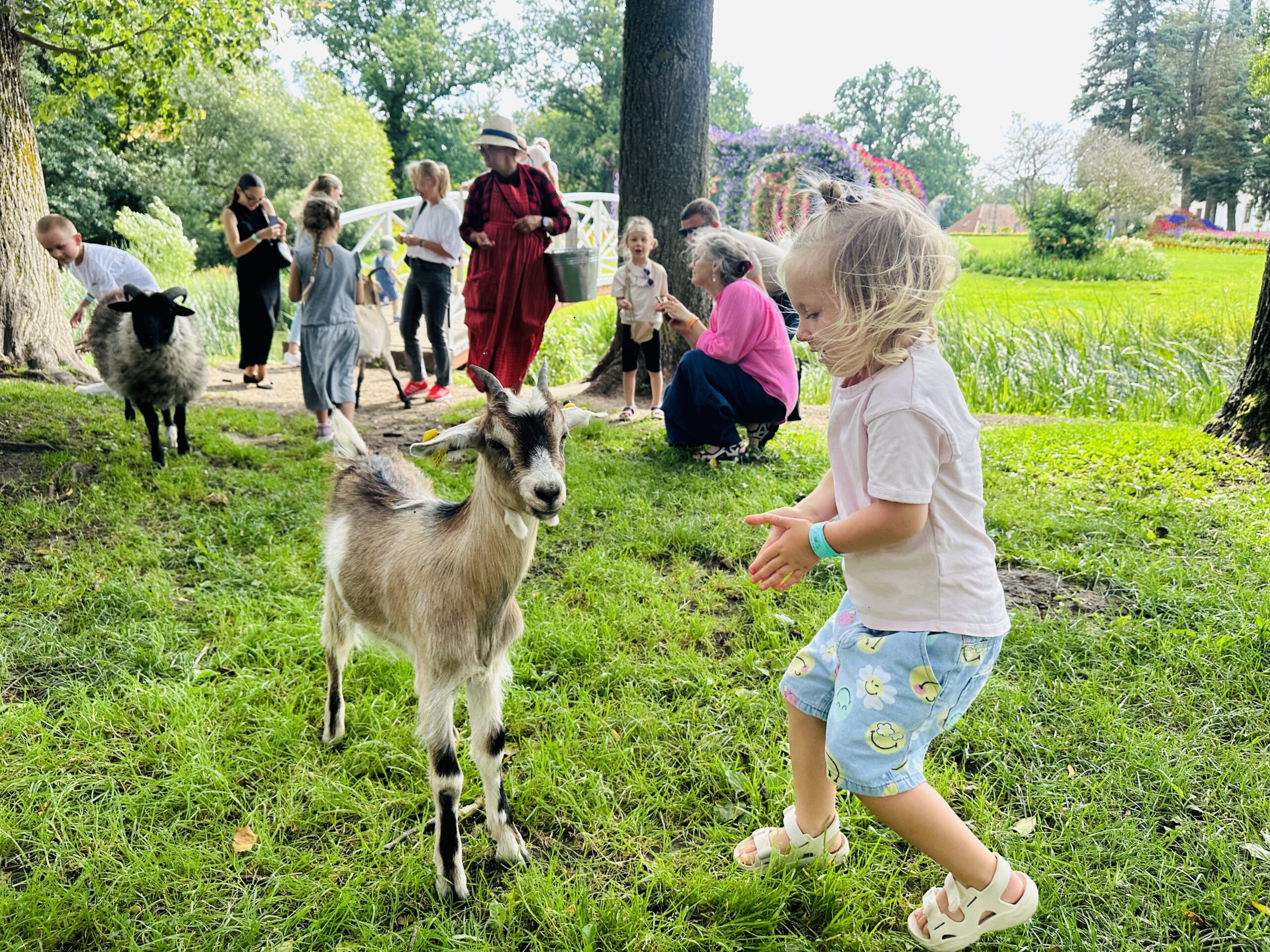 Pakruojo dvare vaikai maitina gyvūnus