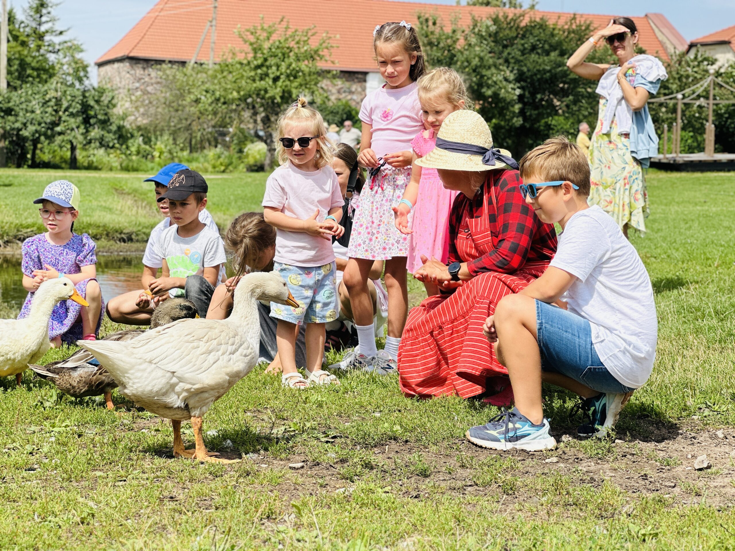 Pakruojo dvare vaikai maitina gyvūnus