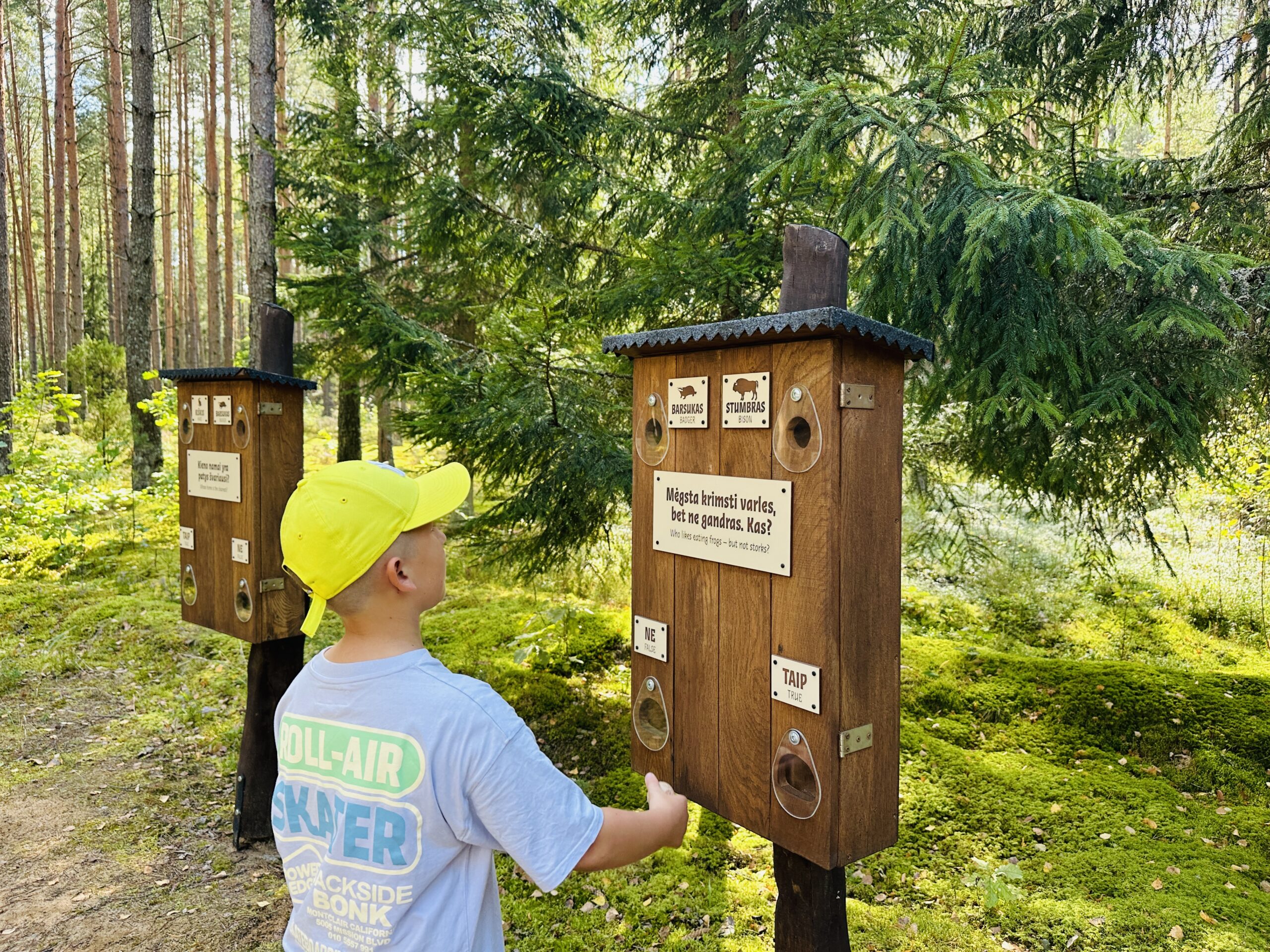 Edukacijų erdvė vaikams