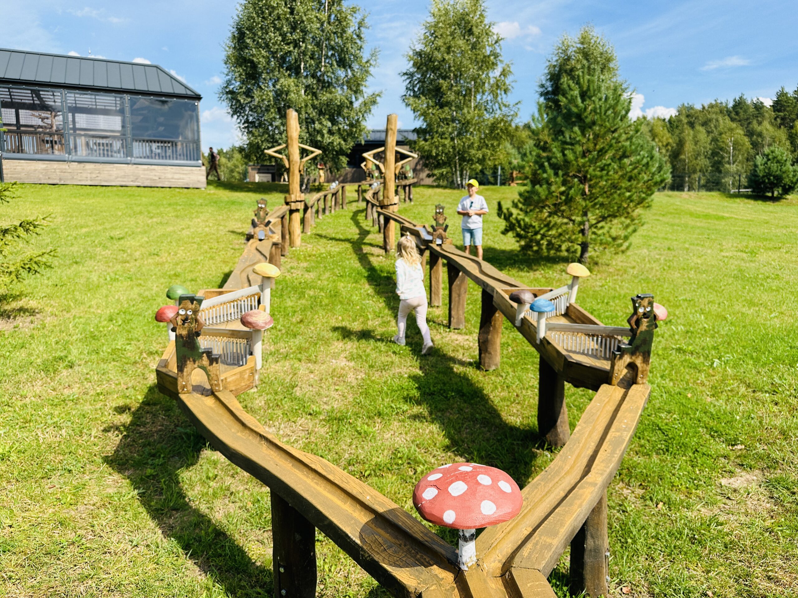 Kamuoliukų lenktynių trasa