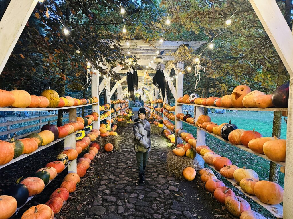 Helovynas Taujėnų dvare 2026
