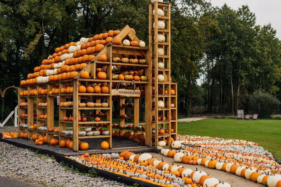 Pramogų parkai Lenkijoje