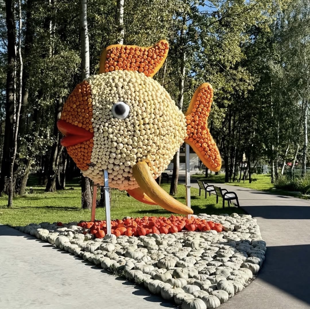 Ką pamatyti Lenkijoje su vaikais