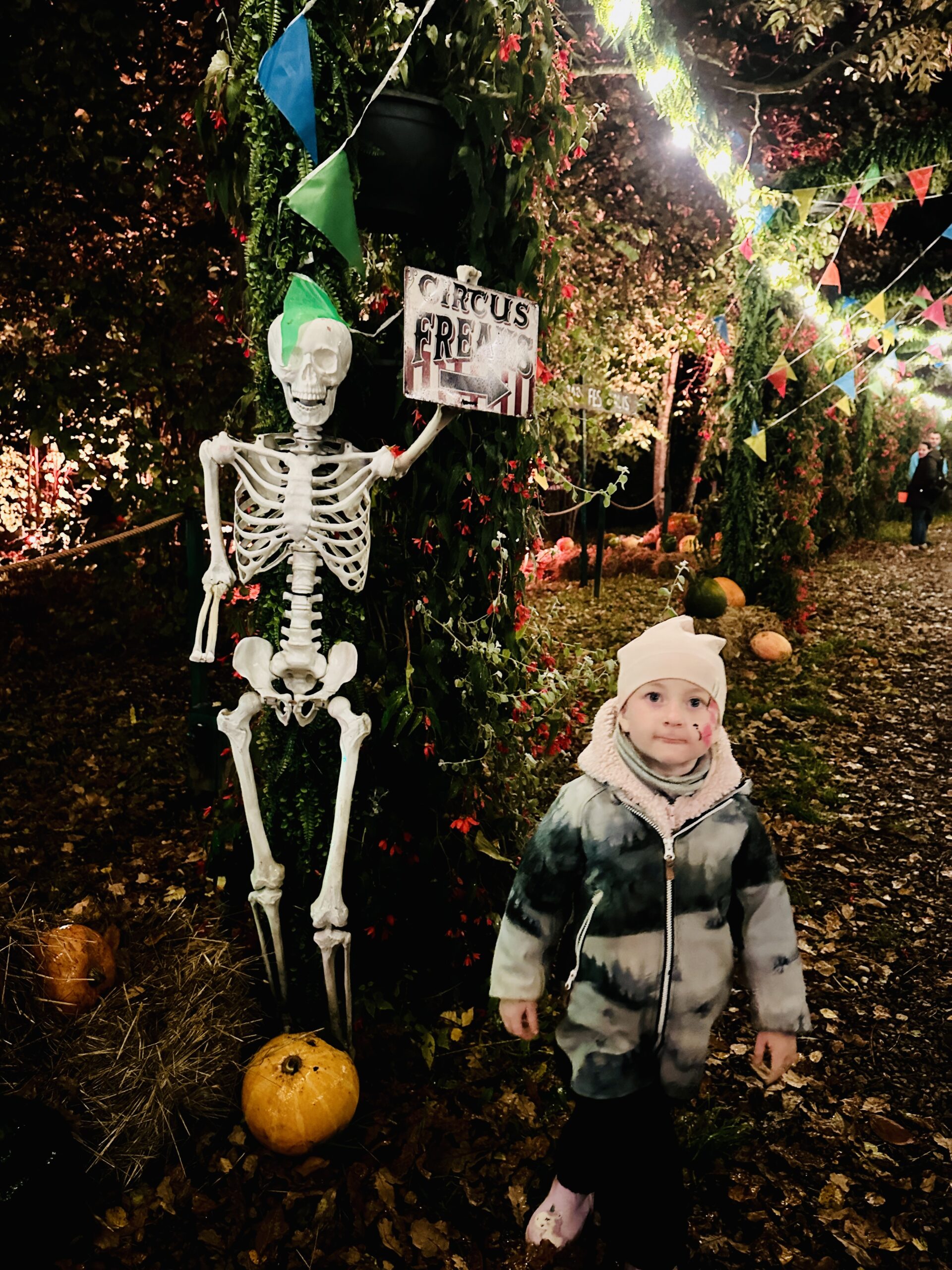 Helovynas Raubonių parke 2026